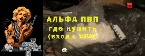 гашик Алексеевка