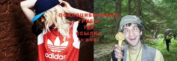 трава Абинск